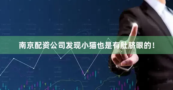 南京配资公司发现小猫也是有肚脐眼的！
