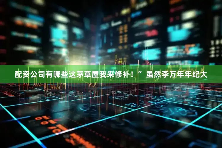 配资公司有哪些这茅草屋我来修补！” 虽然李万年年纪大