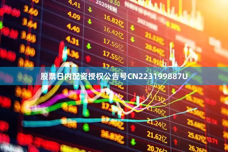 股票日内配资授权公告号CN223199887U