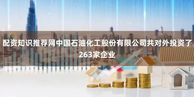 配资知识推荐网中国石油化工股份有限公司共对外投资了263家企业