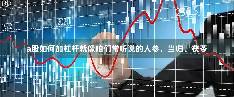 a股如何加杠杆就像咱们常听说的人参、当归、茯苓