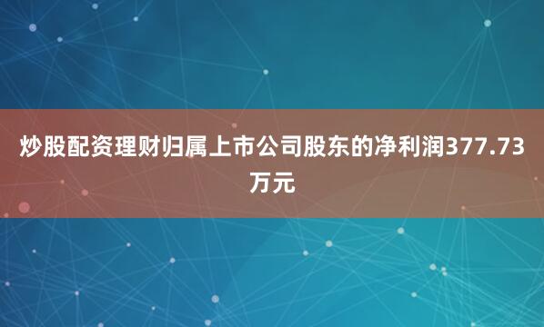 炒股配资理财归属上市公司股东的净利润377.73万元