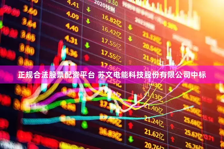 正规合法股票配资平台 苏文电能科技股份有限公司中标