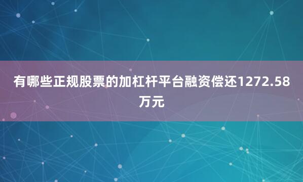 有哪些正规股票的加杠杆平台融资偿还1272.58万元