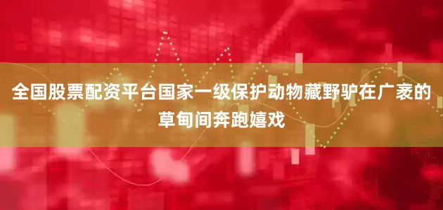 全国股票配资平台国家一级保护动物藏野驴在广袤的草甸间奔跑嬉戏