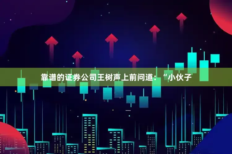 靠谱的证券公司王树声上前问道：“小伙子